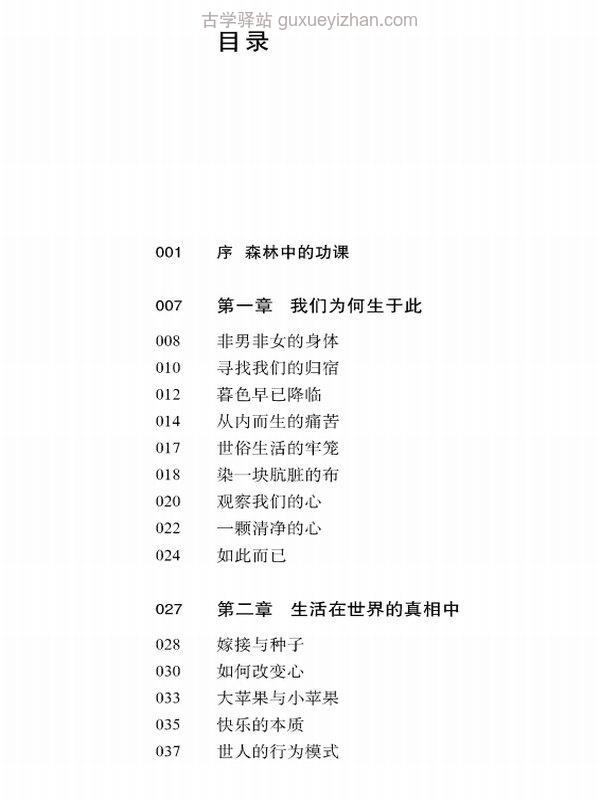 阿姜查禅修文集合集20本插图