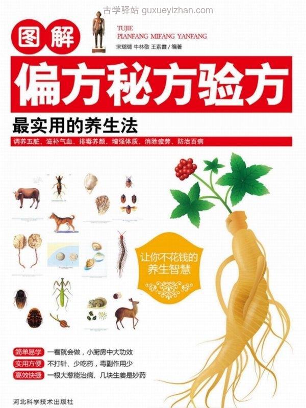 图解偏方秘方验方最实用的养生法插图