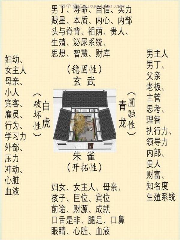 紫煜形家长眼法“望门立断”的秘诀系列合集插图