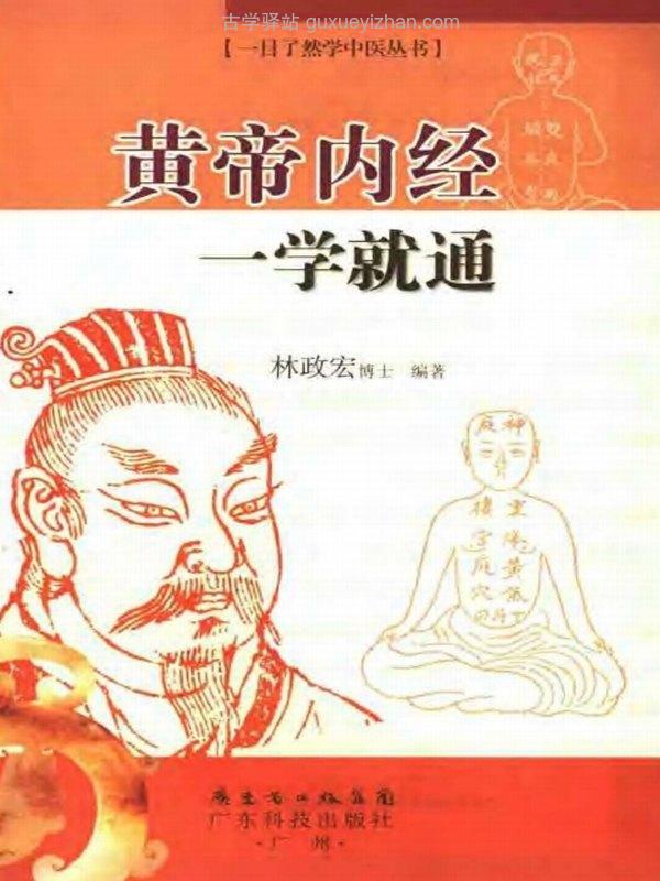 一目了然学中医丛书（10部全）插图