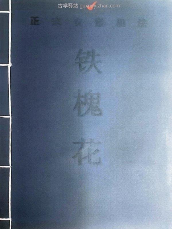 安徽相法《铁槐花》上下插图