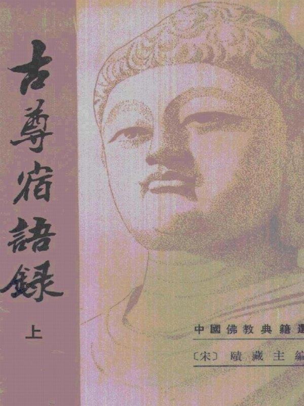 中国佛教典籍选刊13种全 中华书局插图