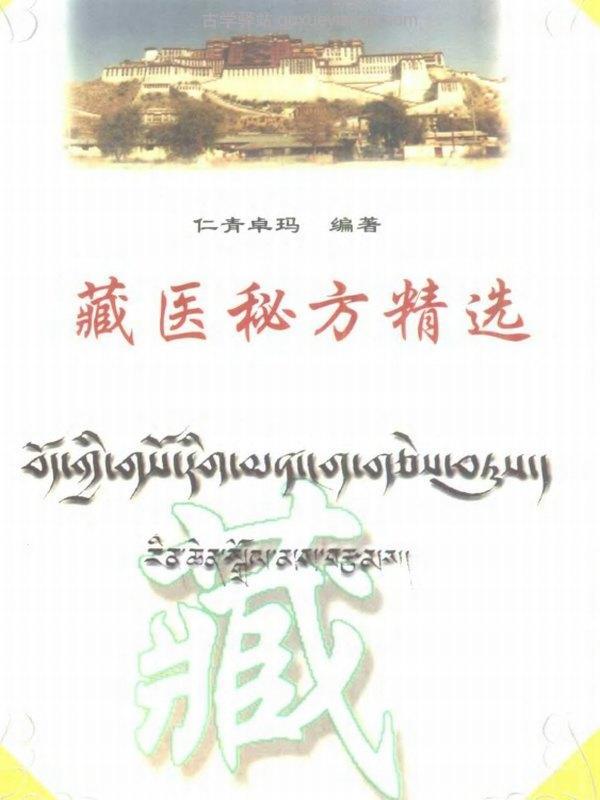 民族医资料 合集16种插图