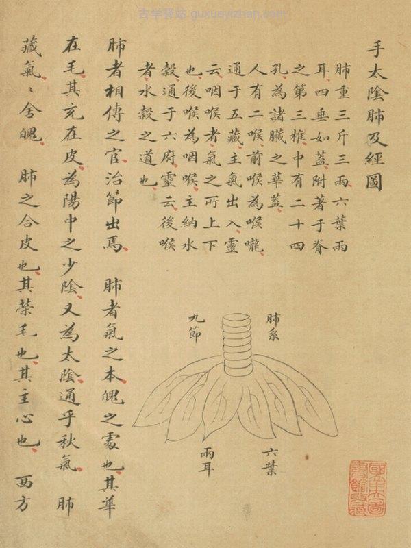十四经穴歌插图