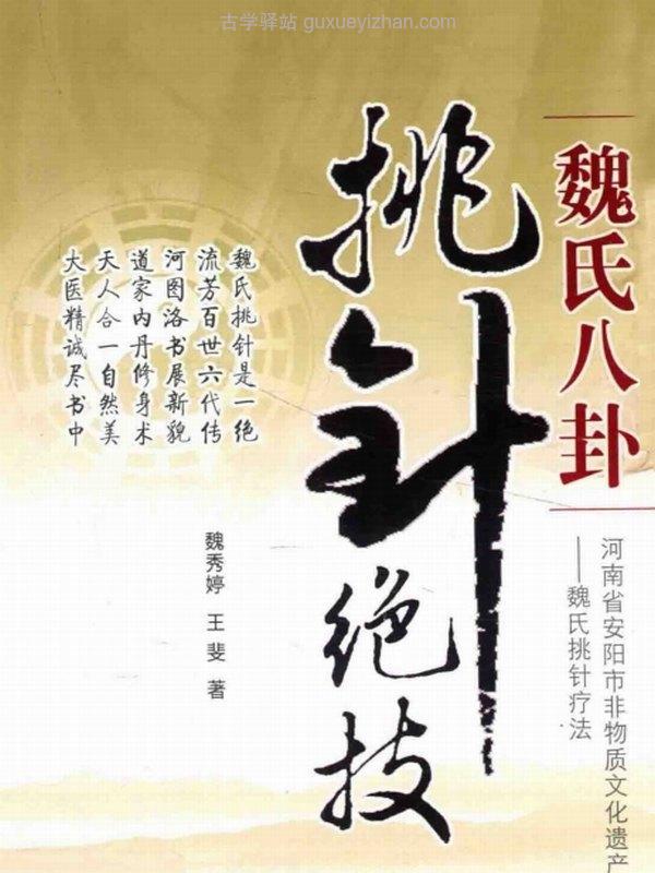 魏氏八卦挑针绝技插图