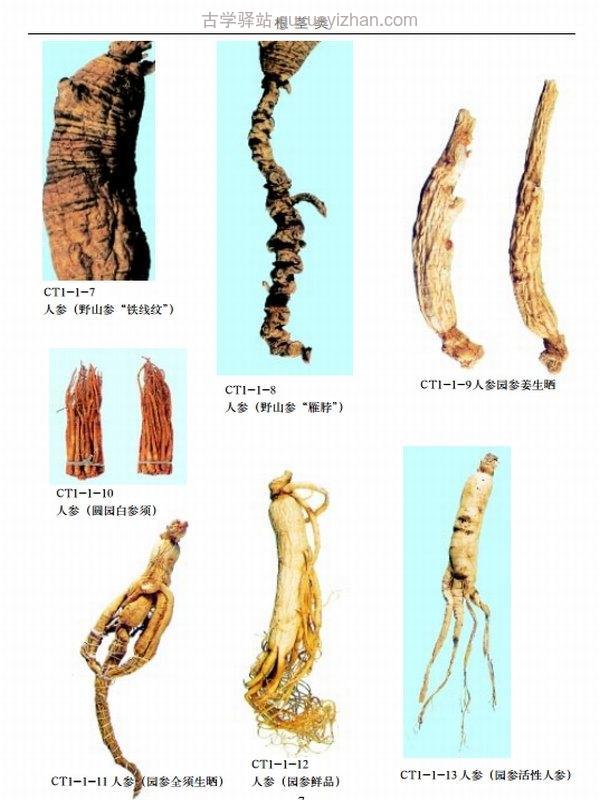 最新中草药真伪鉴别实用大全 合集4卷插图